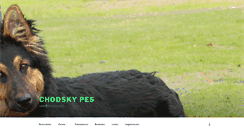 Desktop Screenshot of chodsky-pes.de