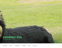 Tablet Screenshot of chodsky-pes.de